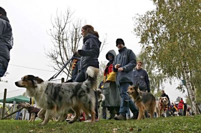 DM-Waldstetten-2019-251.jpg