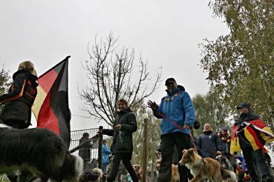 DM-Waldstetten-2019-266.jpg