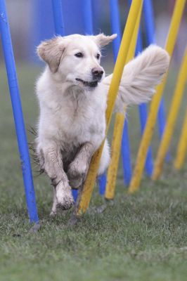 _MG_3183.jpg