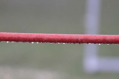 _MG_3371.jpg