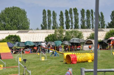 DSC_0015.jpg