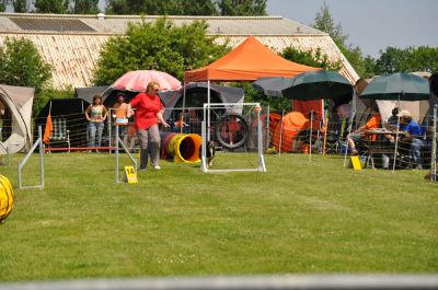 DSC_0054.jpg