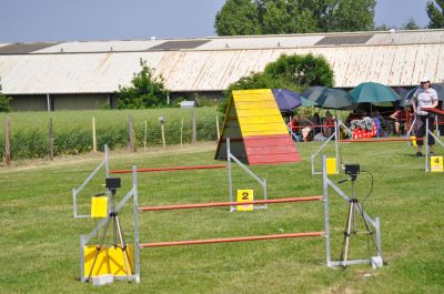 DSC_0062.jpg