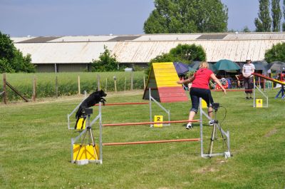 DSC_0063.jpg