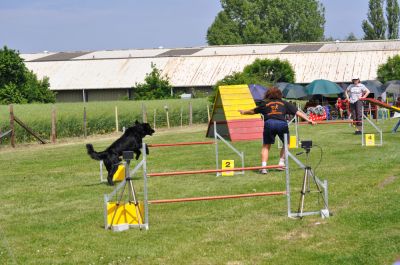 DSC_0064.jpg