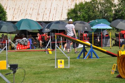 DSC_0065.jpg