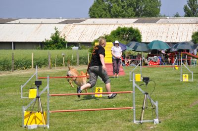 DSC_0076.jpg