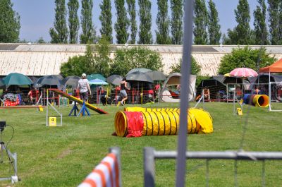 DSC_0090.jpg