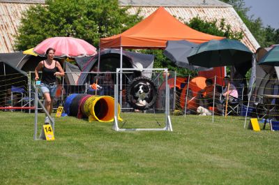 DSC_0092.jpg