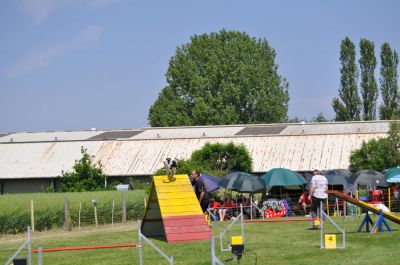 DSC_0094.jpg