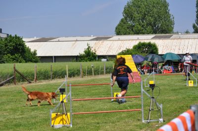 DSC_0103.jpg