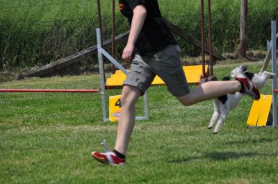 DSC_0174.jpg