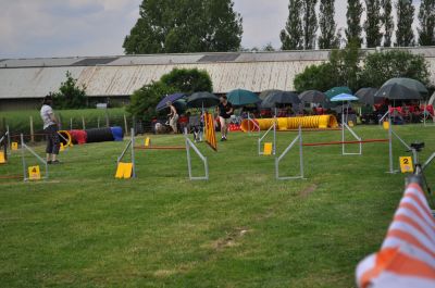 DSC_0217.jpg