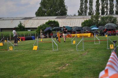 DSC_0218.jpg