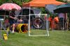 DSC_0106.jpg