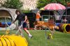 DSC_0108.jpg