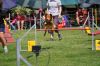 DSC_0110.jpg