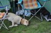 DSC_0115.jpg