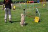 DSC_0176.jpg