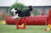 DSC_0072eisbr2.jpg