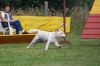 DSC_0112gina1.jpg