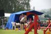 DSC_0121.jpg