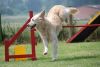 DSC_0135.jpg