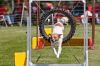 20090726_11_42_54_MG_1862.jpg