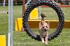 20090726_12_19_51_MG_1919.jpg