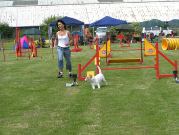 IMG_0068.jpg