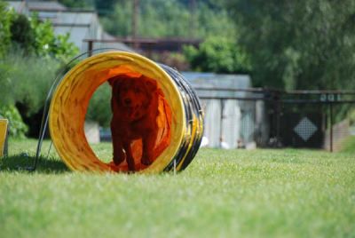 DSC_0478.jpg