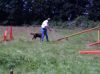 DSC00132.jpg