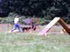 DSC00154.jpg