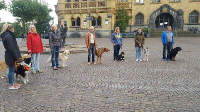 20170920_182425.jpg