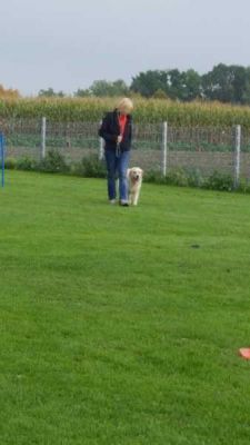 20170923_123458.jpg