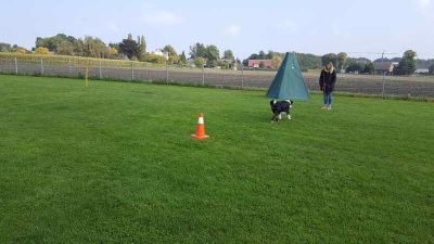 20170923_140441.jpg