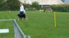 20170923_123940.jpg