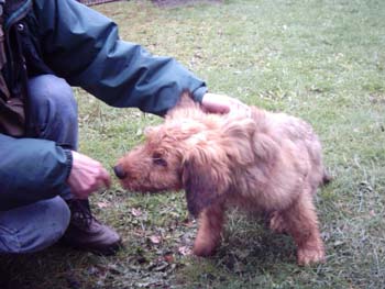 Rene-Loulou_2.jpg