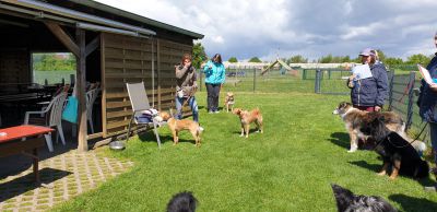 IMG-20190504-WA0008.jpg