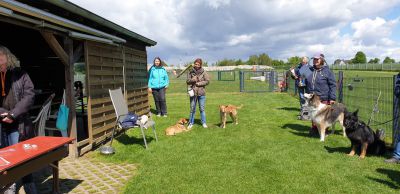 IMG-20190504-WA0009.jpg