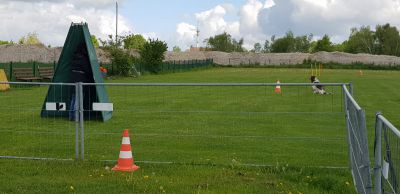 IMG-20190504-WA0074.jpg