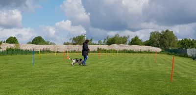 IMG-20190504-WA0077.jpg