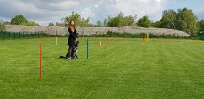 IMG-20190504-WA0080.jpg