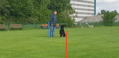 IMG-20190504-WA0106.jpg