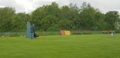IMG-20190504-WA0108.jpg