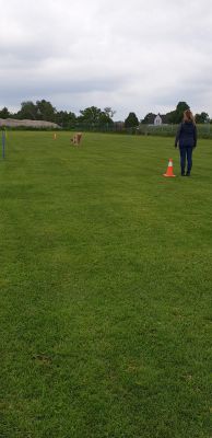 IMG-20190511-WA0050.jpg