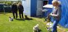 IMG-20190504-WA0041.jpg