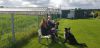 IMG-20190504-WA0084.jpg