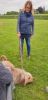 Filename=IMG-20190511-WA0045.jpg
Filesize=235KiB
Dimensions=777x1600
Date added=May 11, 2019 IMG-20190511-WA0045.jpg