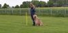 Filename=IMG-20190511-WA0046.jpg
Filesize=168KiB
Dimensions=1600x777
Date added=May 11, 2019 IMG-20190511-WA0046.jpg